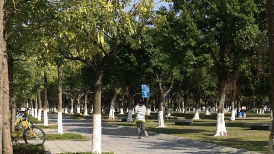 深圳宝安区跑步最佳地点,深圳跑步圣地在什么地方