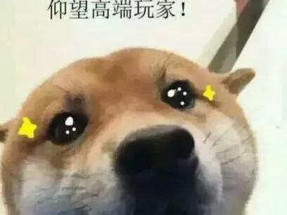 你见过哪些好笑的花式炫富？留学生：这些操作可以骚到你怀疑人生