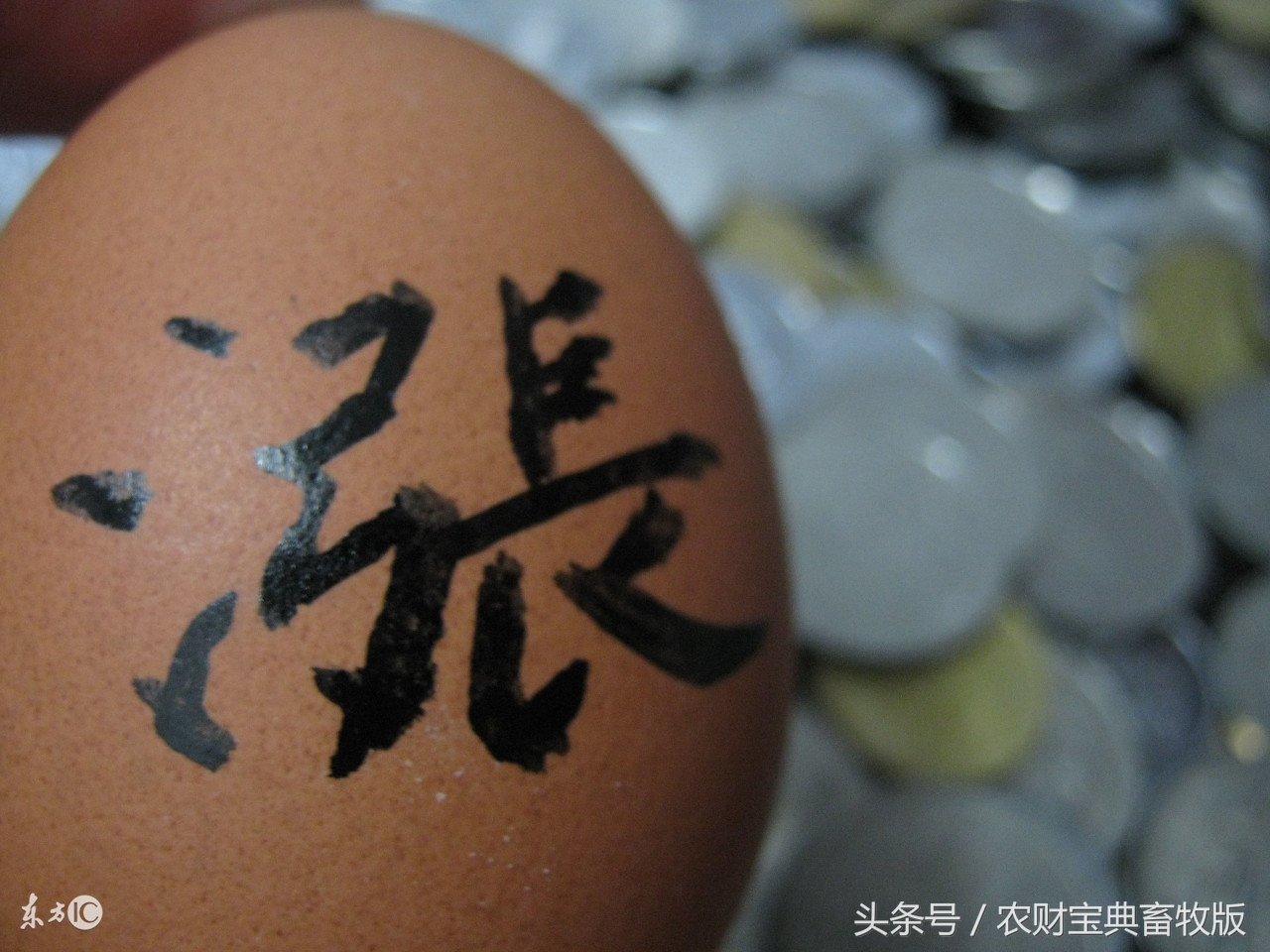 安佑饲料和双胞胎哪家更好,饲料原料短缺饲料价格上涨