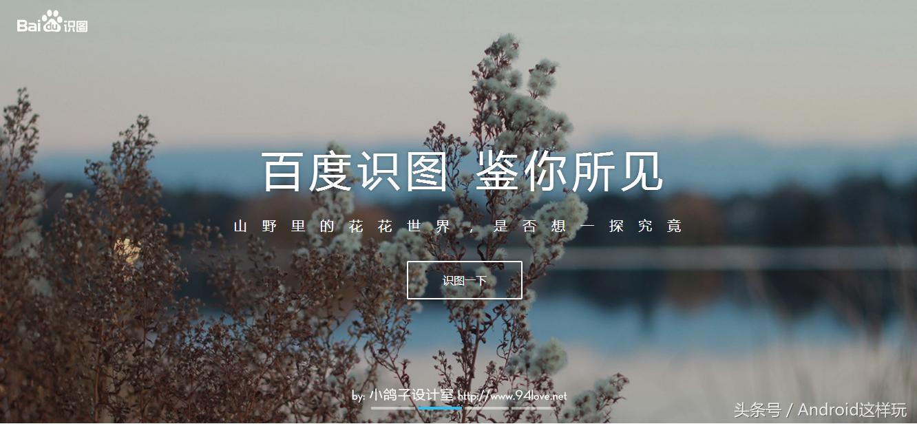 2017国内外主要图片搜索引擎入口,yandex搜索引擎全球入口