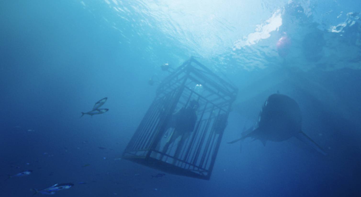 4月好片推荐,6月好片