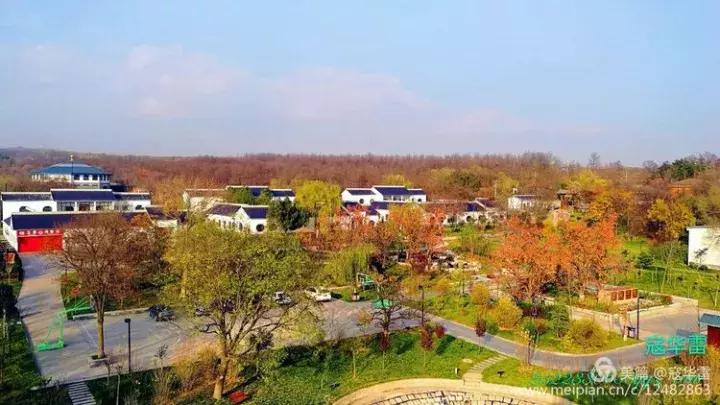 中国天然氧吧为什么是永寿,永寿槐林氧吧