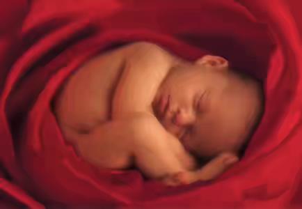 已生小孩的宝妈怀男怀女分享,全职宝妈怀了二胎纠结要不要