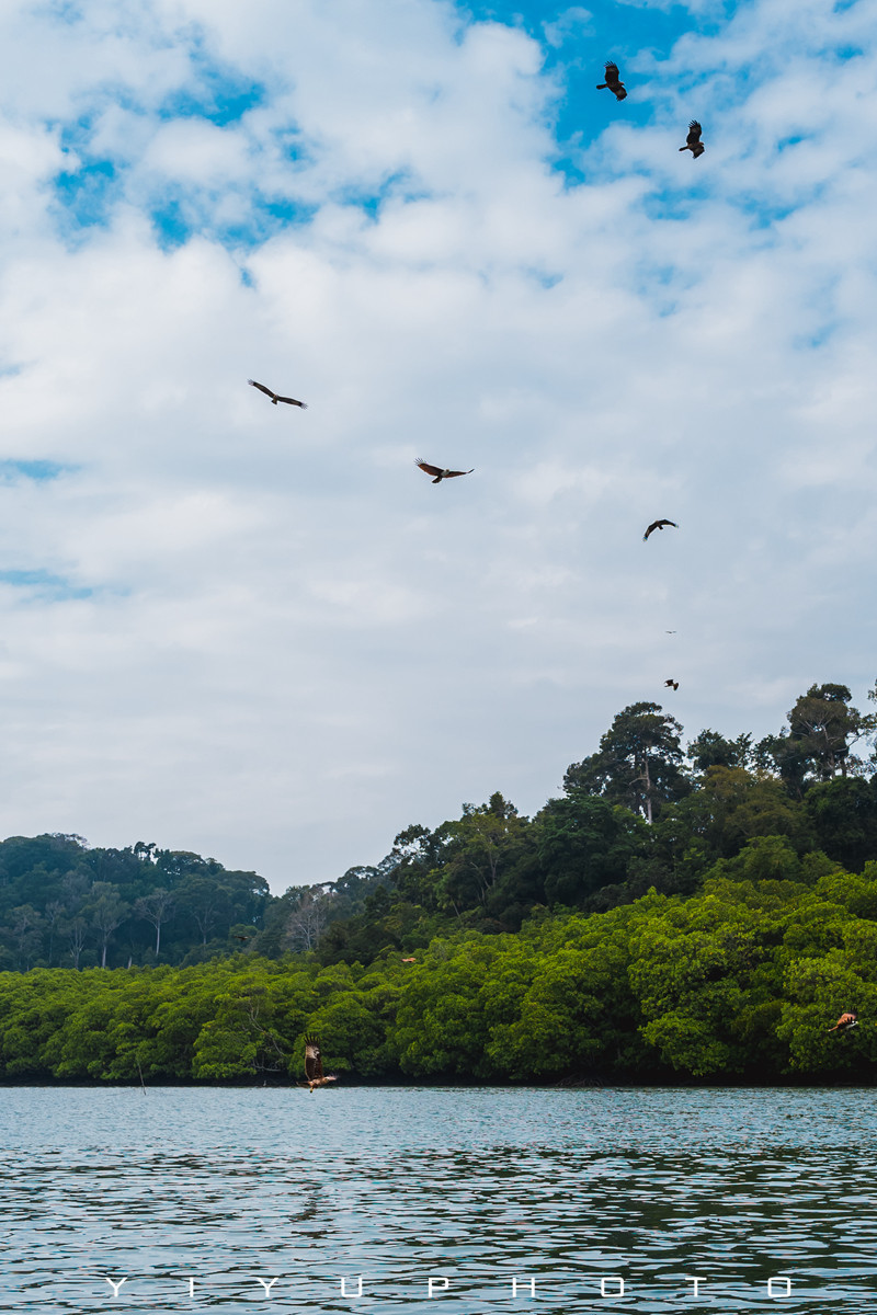 悠游一夏，马来西亚——六日自由行攻略