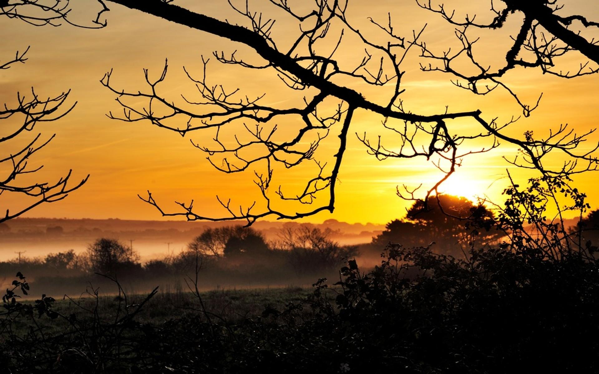 十首中国最美的长篇现代诗,十首现代最美诗