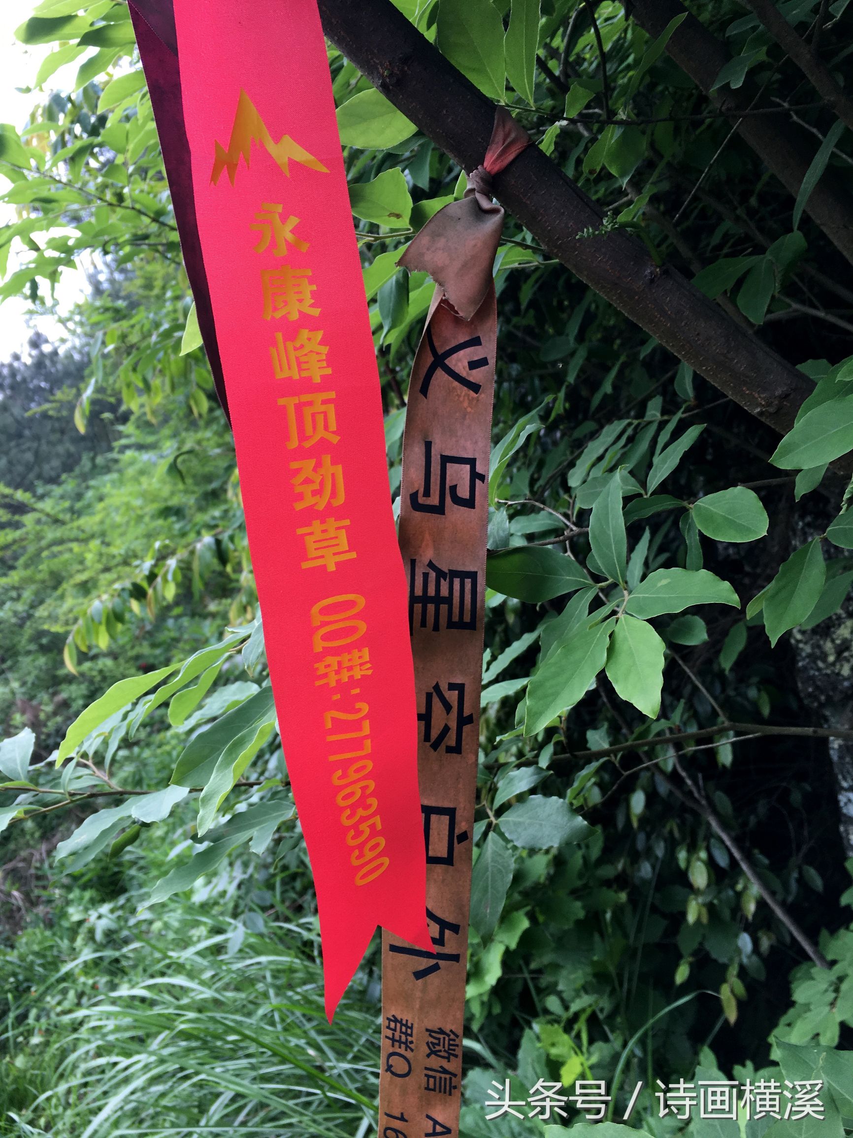 金华登山景点,金华适合爬山景点排名