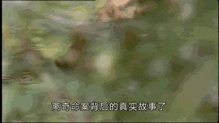 澳大利亚吉祥物袋鼠,澳大利亚的袋鼠伤人事件