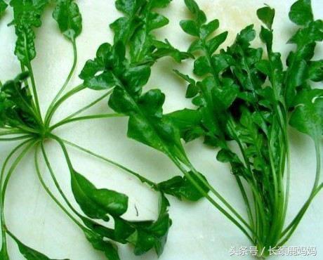 厨房急救用药一览表,厨房急救用药大全