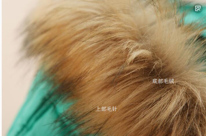 你衣服上的毛领是真的么,买的值不值?教你识别毛领的真假贵贱!