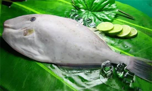 川渝地区的耗儿鱼,四川最好的无头鱼