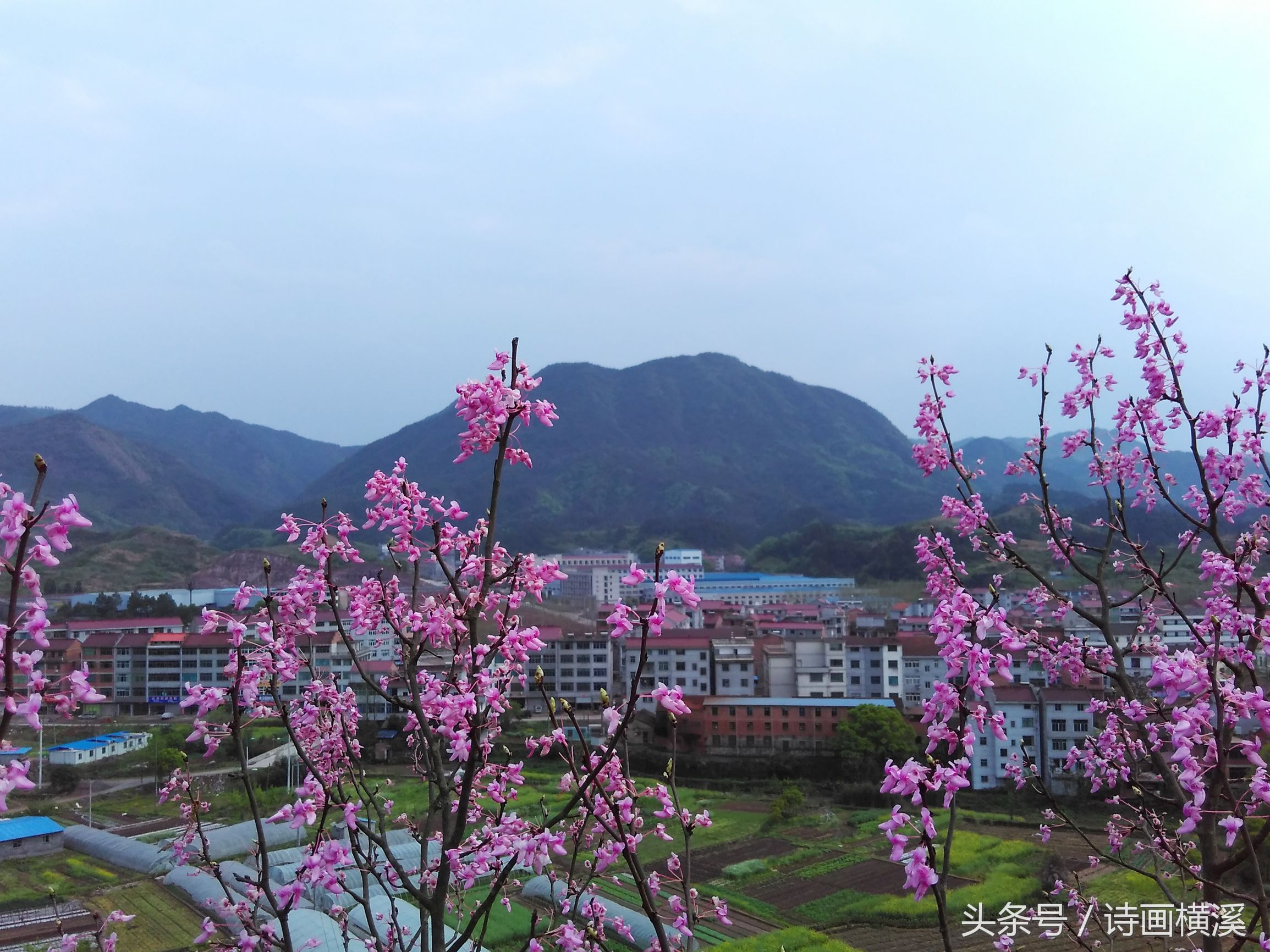 金华登山景点,金华适合爬山景点排名