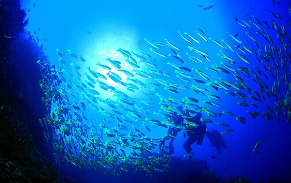 马尔代夫是哪个国家投资的,马尔代夫归哪个国家