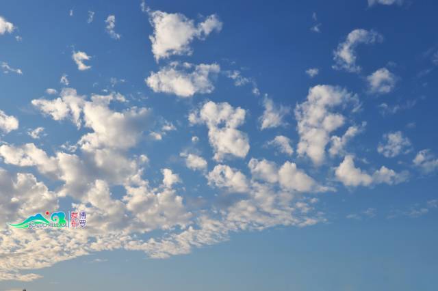 手机看着看着就蓝屏了,点开你的照片手机就死机了