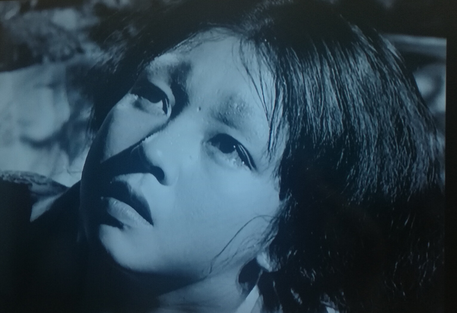 罗生门细思极恐的细节,罗生门真相分析