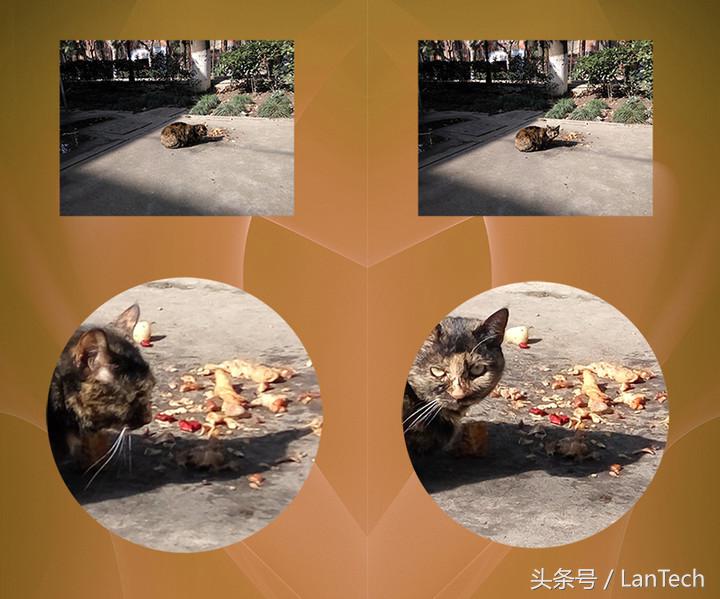 360奇酷旗舰极客版支持电信吗,奇酷360旗舰版开箱