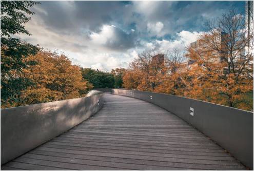 叫花鸡和扒鸡味道有什么区别,叫花鸡的口味浓郁吗吃起来柴吗