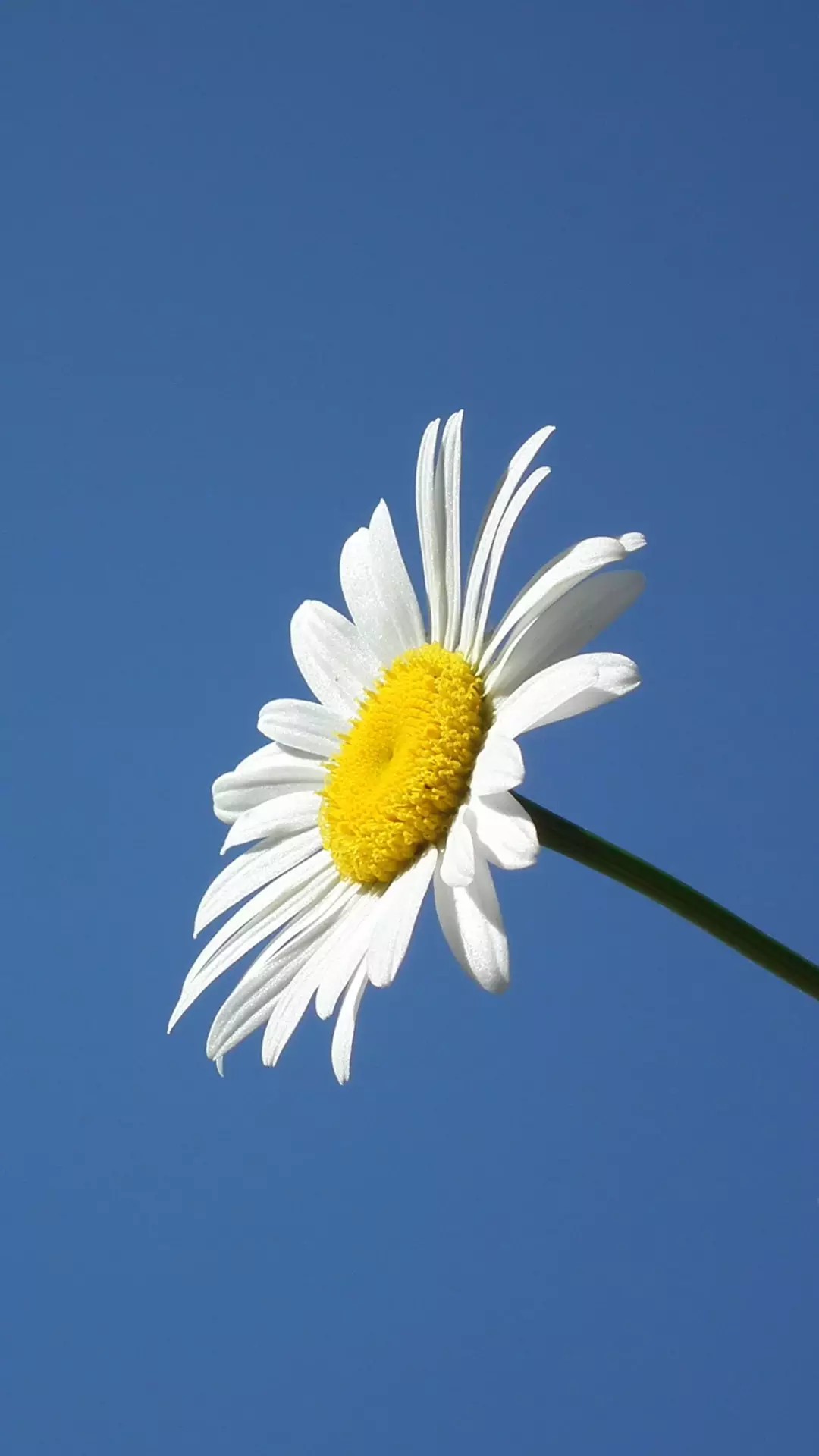 一句话签名简单干净,微信签名一句话霸气