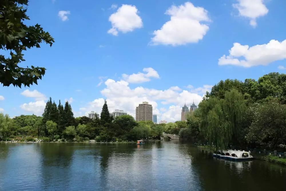 「居行」3个体育产业集聚区将落户浦东,快来看有你家附近的么→