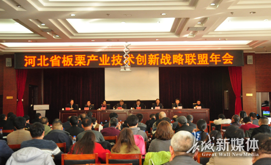 青龙板栗节开幕时间,板栗节青龙节视频