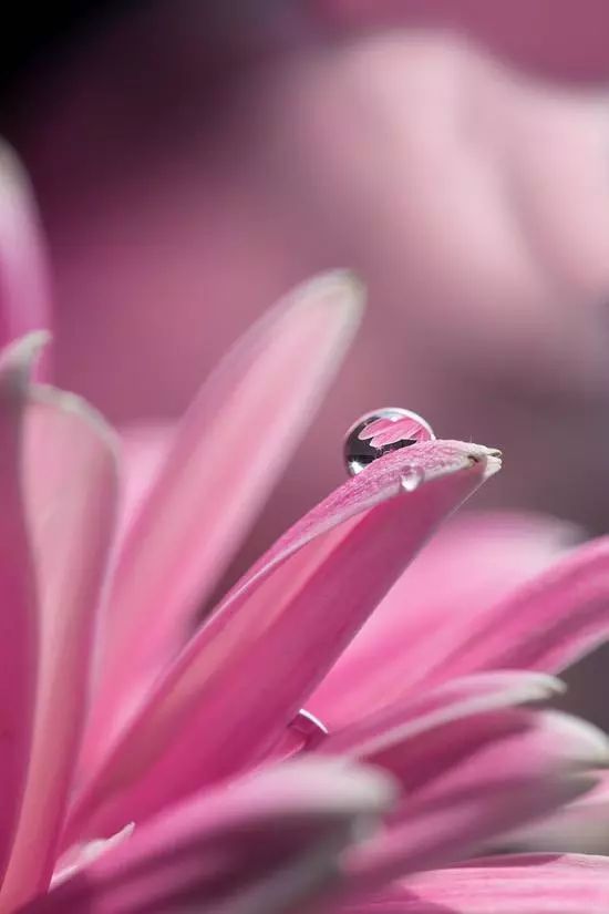 不知道几句摄影圈“黑话”，还怎么混！