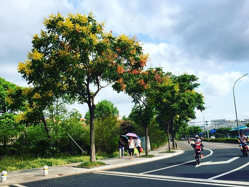 豆瓣日记碎碎念,豆瓣日记完整版