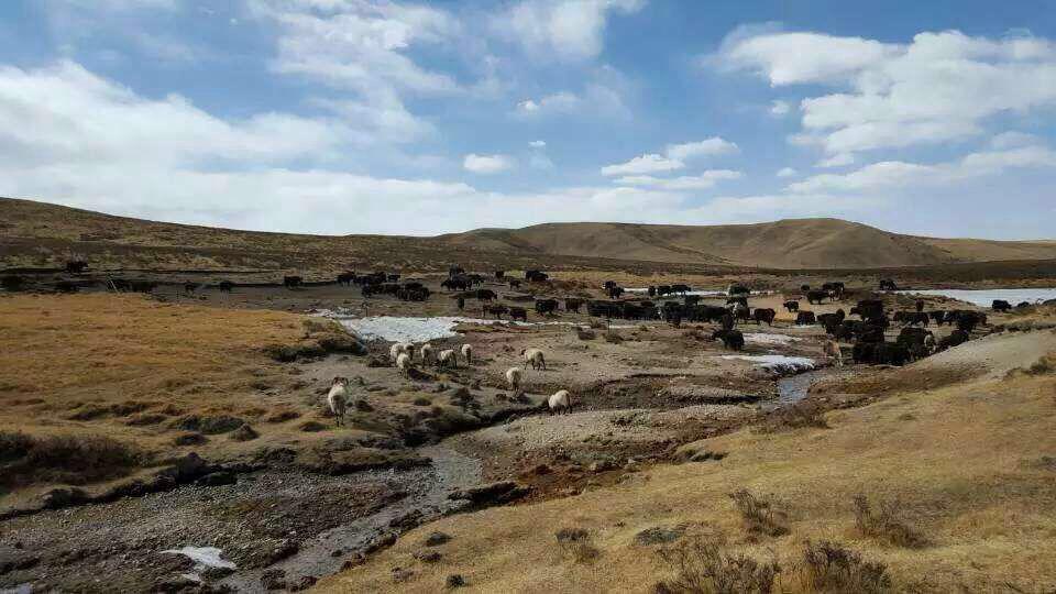 有人你|醉美三江源,最美瀞度人