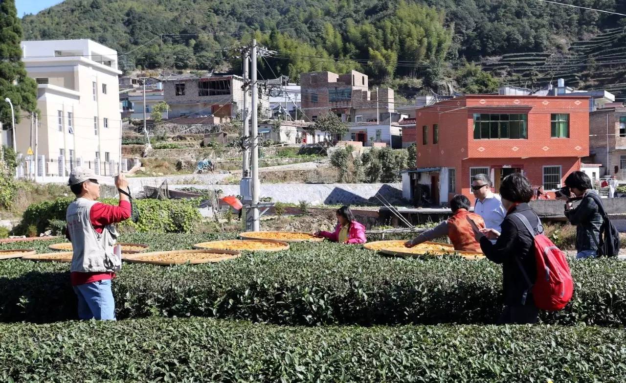 清明临近天气预报,天气预报距离五一小长假仅剩2天