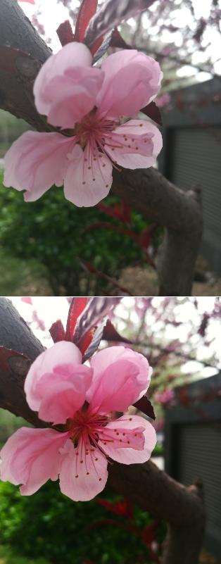 华为P9拍照性能评测：实力碾压iPhone6S