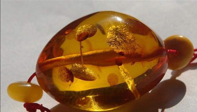 紫光灯下真假琥珀蜜蜡对比图,放大镜下怎么辨别蜜蜡琥珀真假