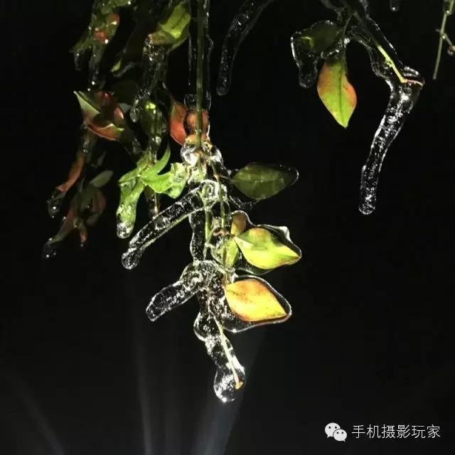 中国手机摄影图片大赛,爱微图