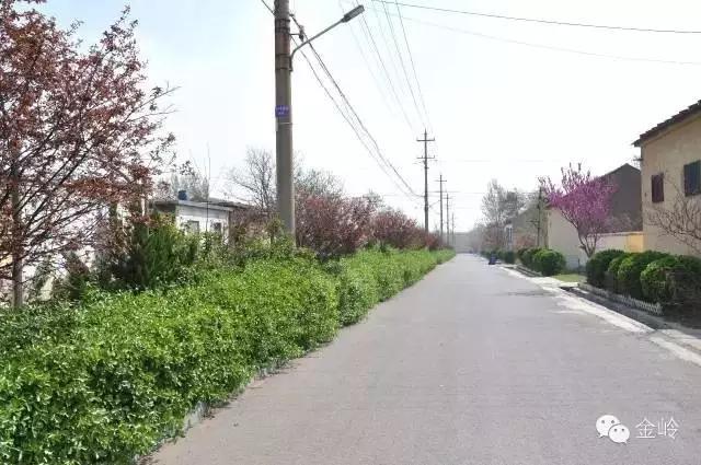 临淄:特色小镇的春天——金岭敬仲朱台齐陵