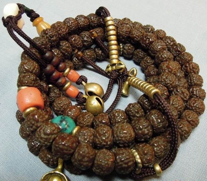 最常见的普通菩提子是哪种,菩提子种类大全图解