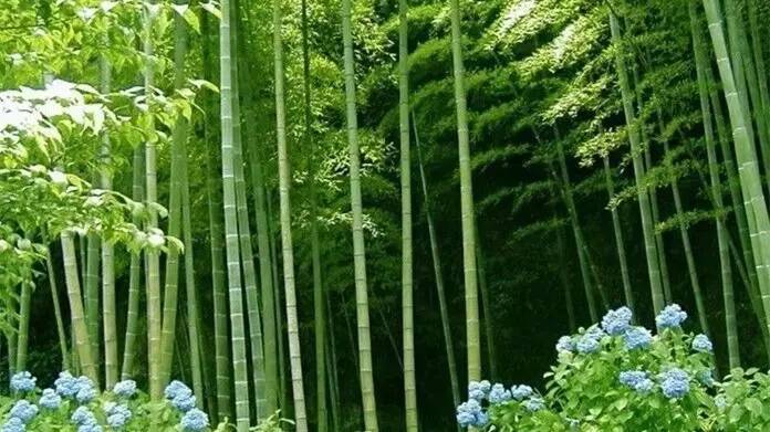 杭州最值得去吃的地方,杭州旅游美食推荐地点