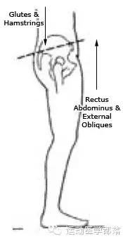 骨盆前移前倾后倾,骨盆前倾与后倾的区别瑜伽视频