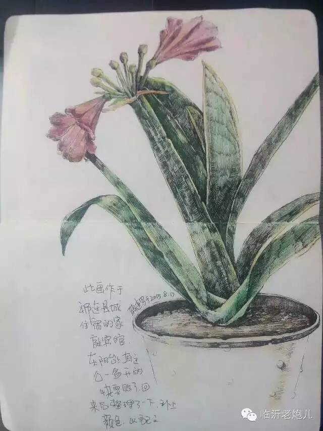 带着书本去旅行绘画,带着旅行箱去旅行绘画