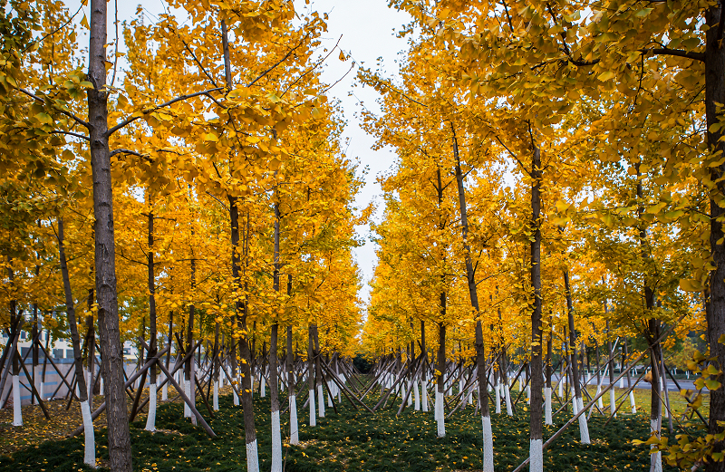 三门县富裕吗,三门是浙江最穷的吗