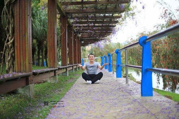 有一种春天叫牡丹花开,有一种春天叫花开艳丽