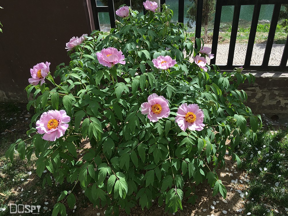 商务的外表商务的芯金立天鉴W909翻盖旗舰手机评测