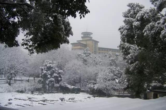 中南民族大学值得学吗,中南民族大学值得读吗