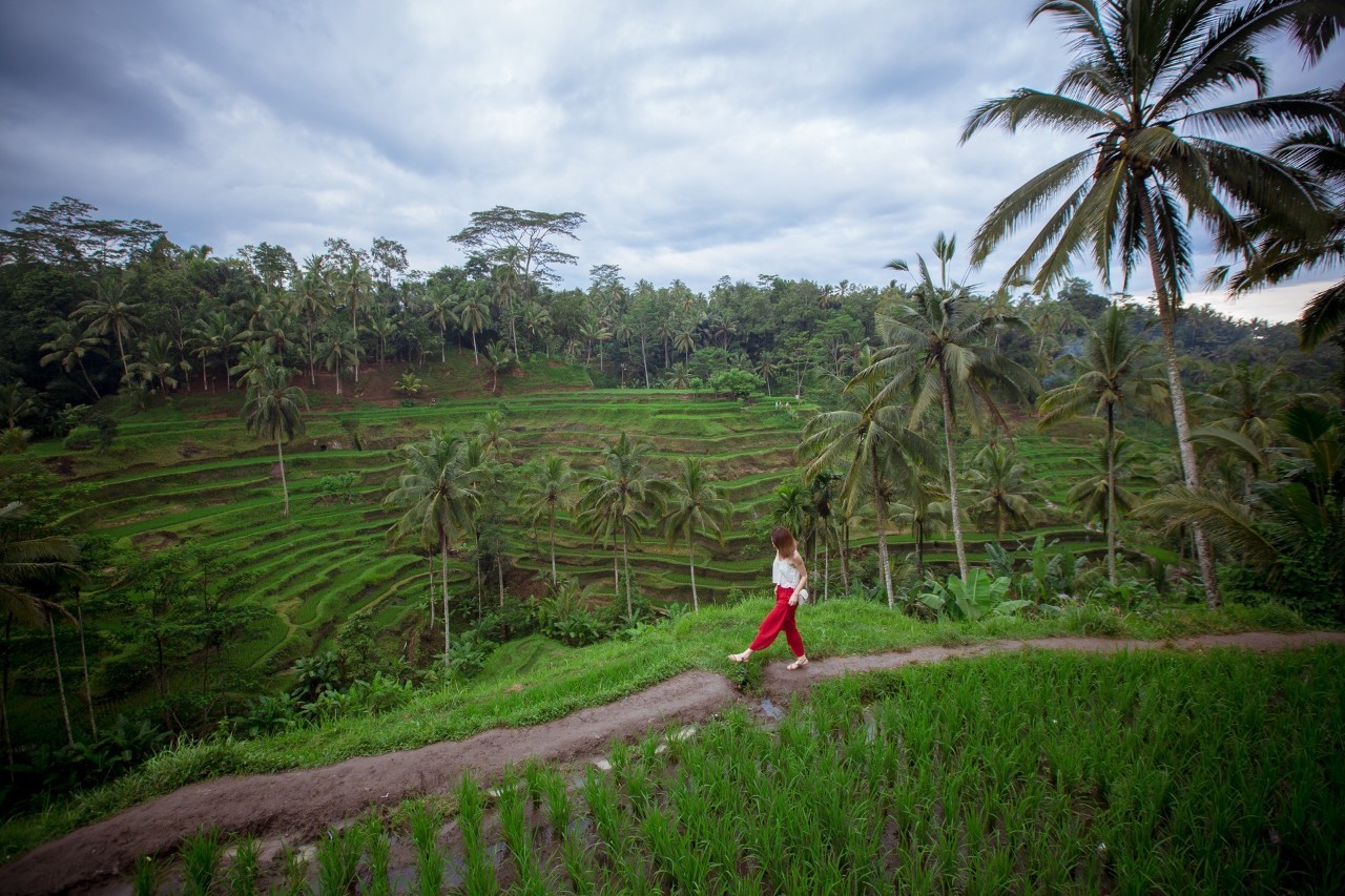 带上这五条攻略再说走就走巴厘岛