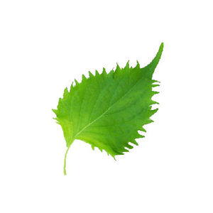 喉咙痛忌口15种食物,喉咙痛吃的食物