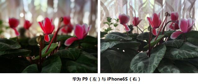 华为P9拍照性能评测：实力碾压iPhone6S