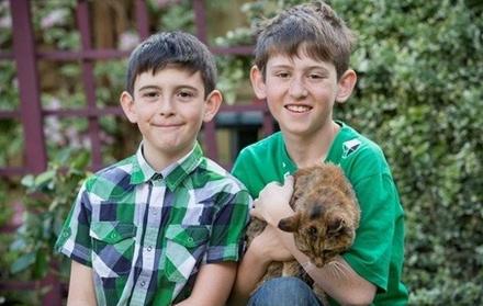 世上最老的猫是什么猫,世界上最老的猫吉尼斯世界纪录