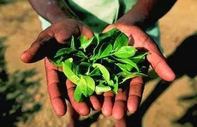 旅游伴手礼必买清单,旅游必备伴手礼