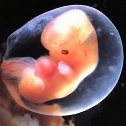 适合孕妇保胎听的音乐,孕检有胎心音乐