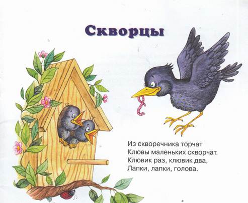 各个国家手指操,全套手指操