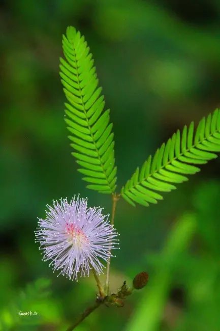三亚最美的夕阳日落,夕阳的落下