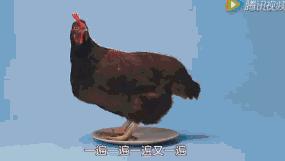 健身看着瘦了体重重了,健身后反而变重了为什么