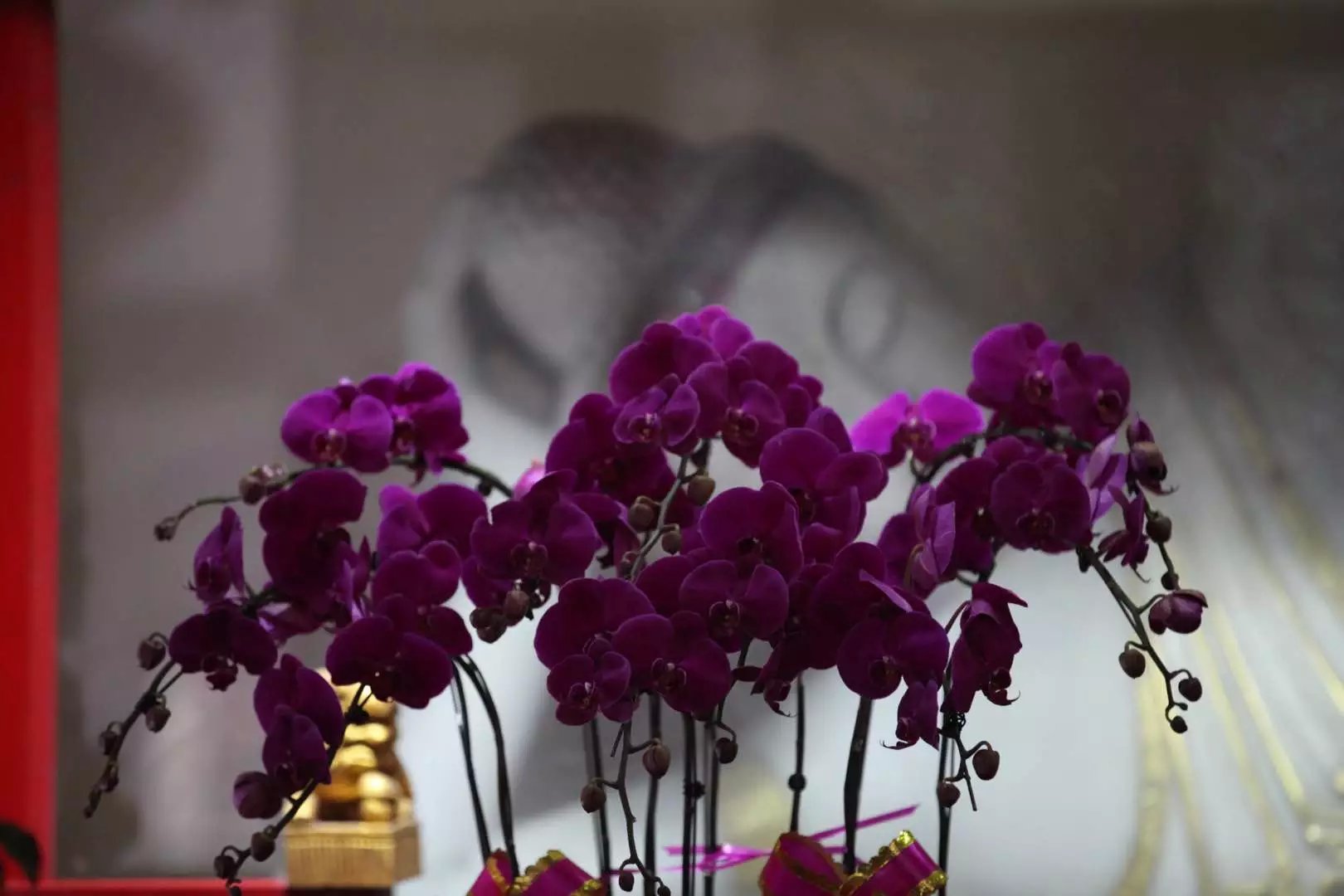 宝华山森林公园隆昌寺图片,宝华山森林公园隆昌寺