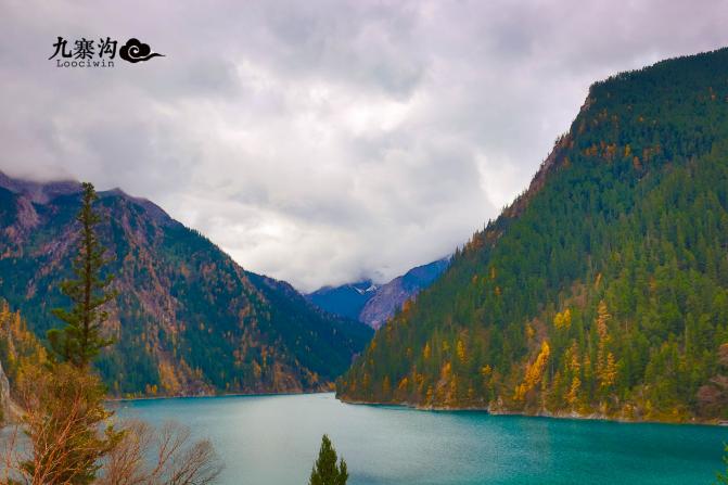 鍛宠暰娴佽繛蹇樿繑,鍛宠暰鐣欐亱